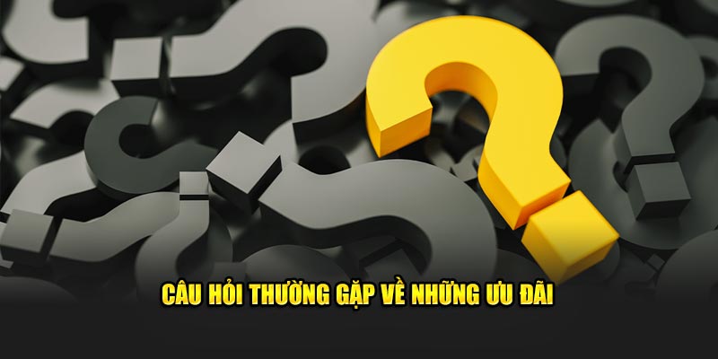 Câu hỏi thường gặp về sự kiện tri ân